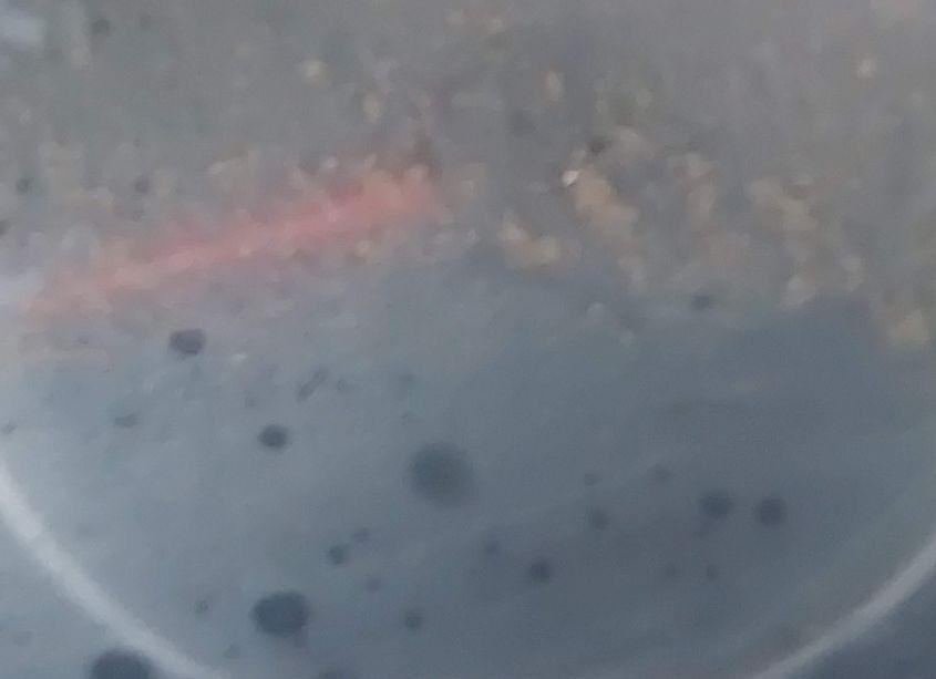 Photo 15 of 2006 Chevrolet Uplander LS (VIN 1GBDV13L56D230153)