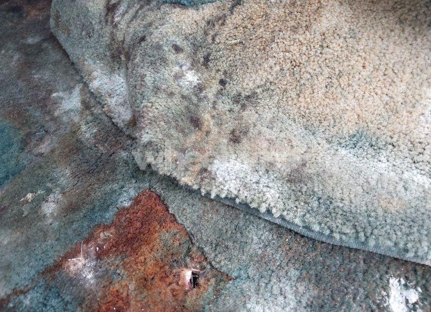 Photo 12 of 1995 Chevrolet G20 (VIN 1GBEG25K7SF203432)