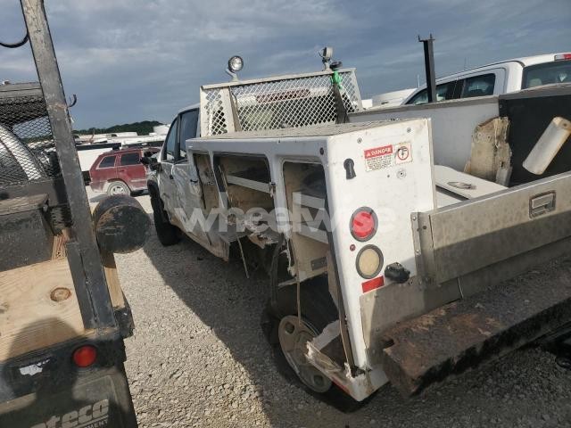 Photo 8 of 2024 CHEVROLET SILVERADO K2500 HEAVY DUTY (VIN 1GC1YLE75RF467543)