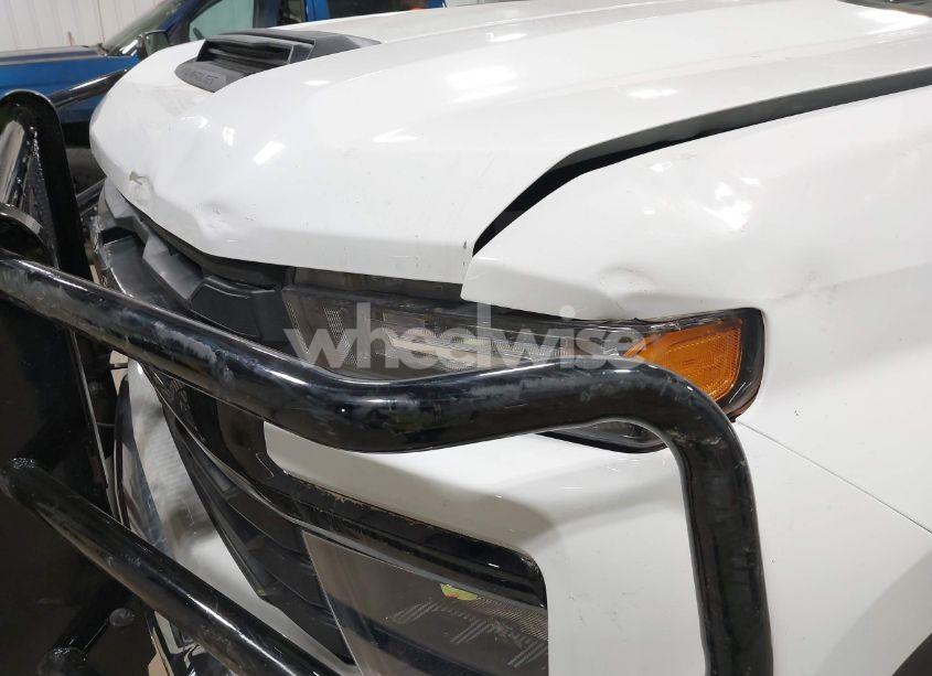 Photo 18 of 2025 Chevrolet Silverado 2500HD 4WD DOUBLE CAB STANDARD BED WORK TRUCK (VIN 1GC2KLE75SF157985)