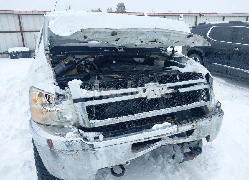 Photo 6 of 2011 Chevrolet Silverado 2500HD WORK TRUCK (VIN 1GC2KVCGXBZ283269)