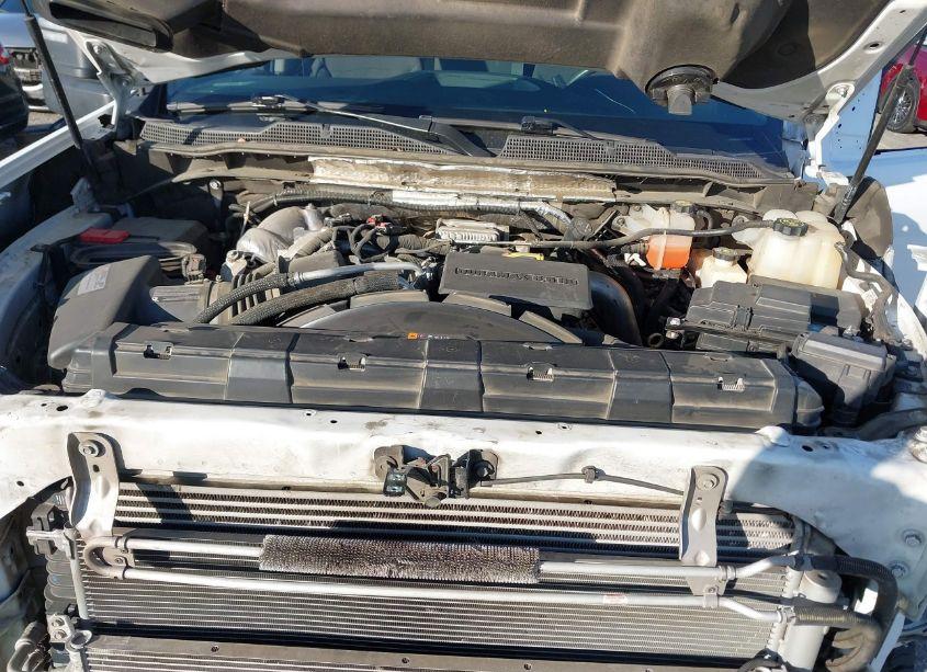 Photo 9 of 2020 Chevrolet Silverado 2500HD 2WD LONG BED WT (VIN 1GC4WLEY2LF298469)