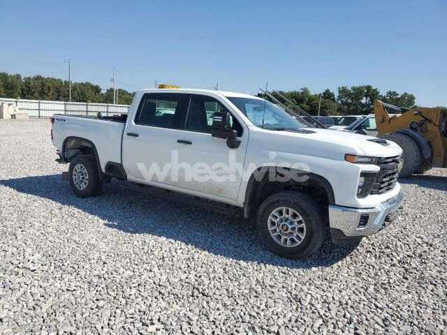 2024 CHEVROLET SILVERADO K2500 HEAVY DUTY (VIN 1GC4YLEY6RF191203) main photo