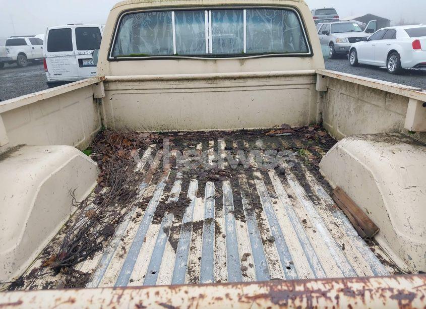 Photo 8 of 1985 Chevrolet C10 (VIN 1GCCC14F8FJ183398)