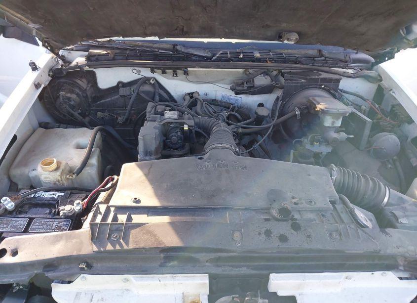 Photo 10 of 1995 Chevrolet S TRUCK S10 (VIN 1GCCS1442S8207875)