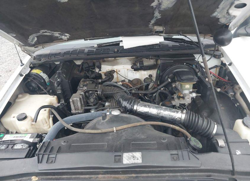 Photo 10 of 1994 Chevrolet S TRUCK S10 (VIN 1GCCS1446R8241702)