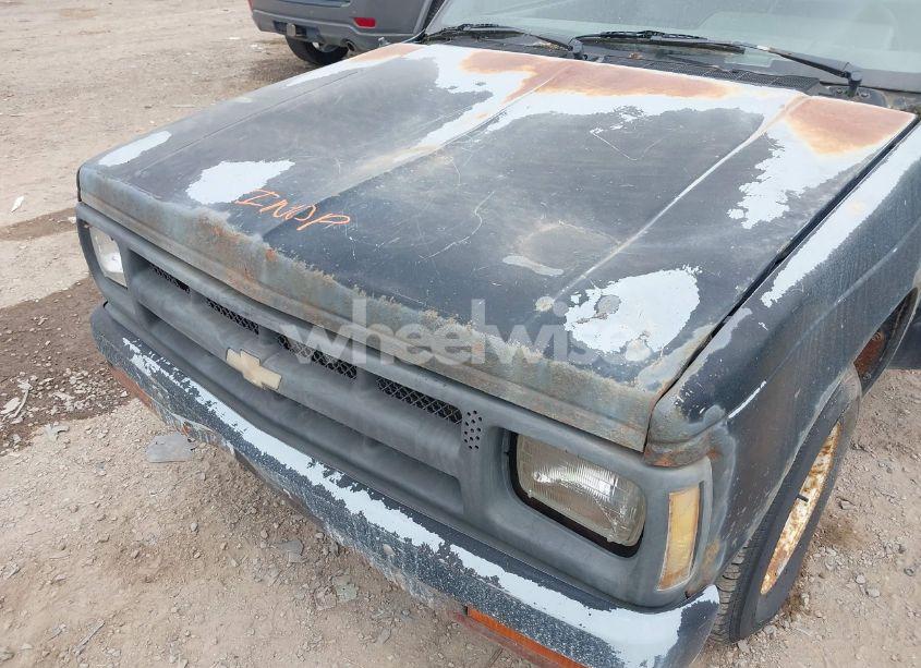 Photo 6 of 1991 Chevrolet S TRUCK S10 (VIN 1GCCS14E3M8126430)