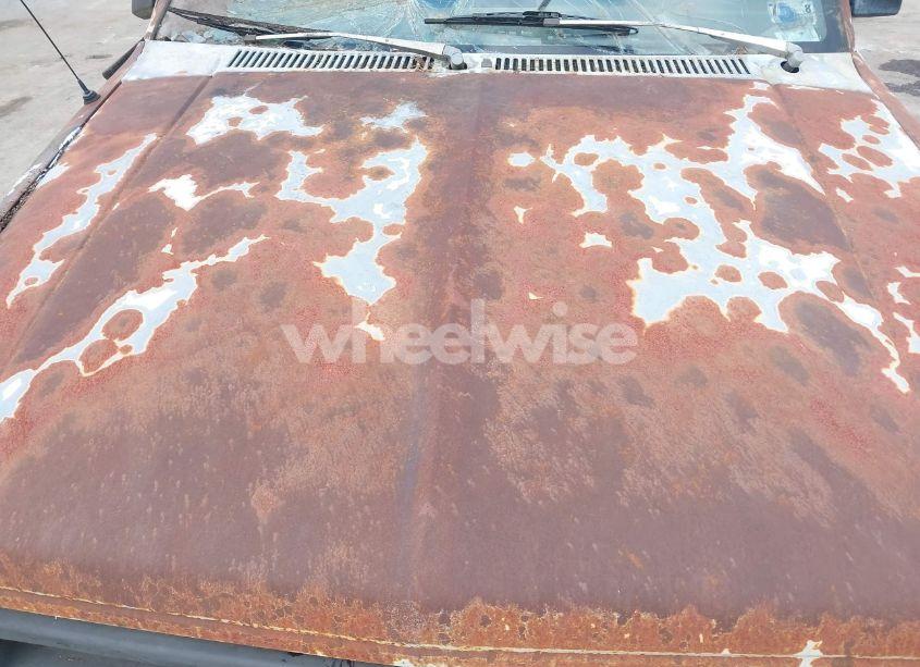 Photo 10 of 1991 Chevrolet S TRUCK S10 (VIN 1GCCS14E7M8105645)