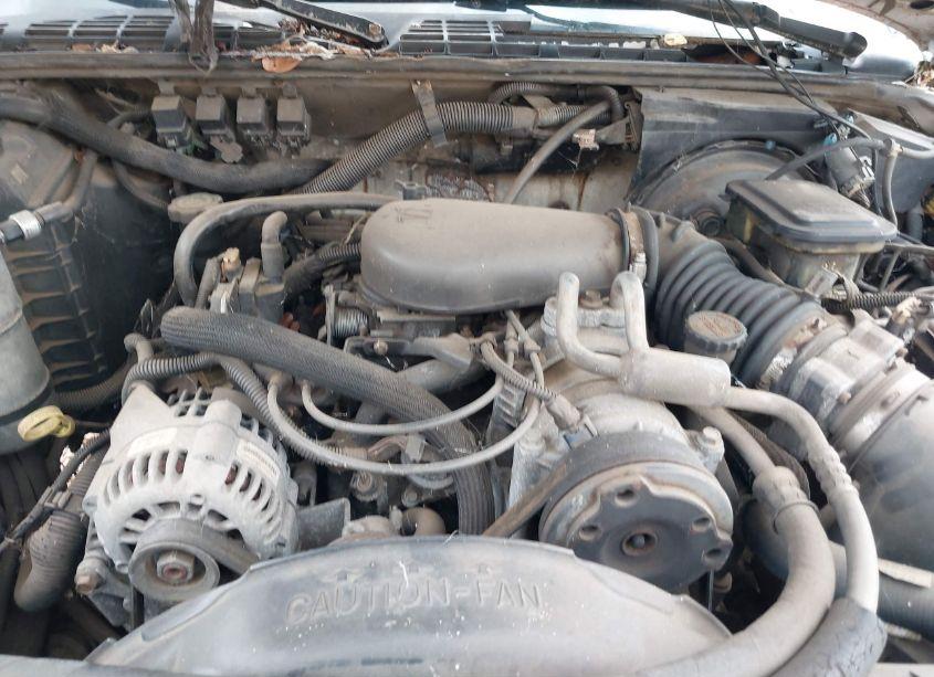 Photo 10 of 1996 Chevrolet S TRUCK S10 (VIN 1GCCS19W9T8204273)