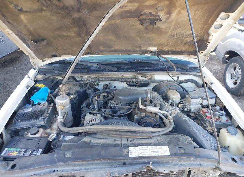 Photo 10 of 1999 Chevrolet S-10 LS (VIN 1GCCS19X4X8144451)