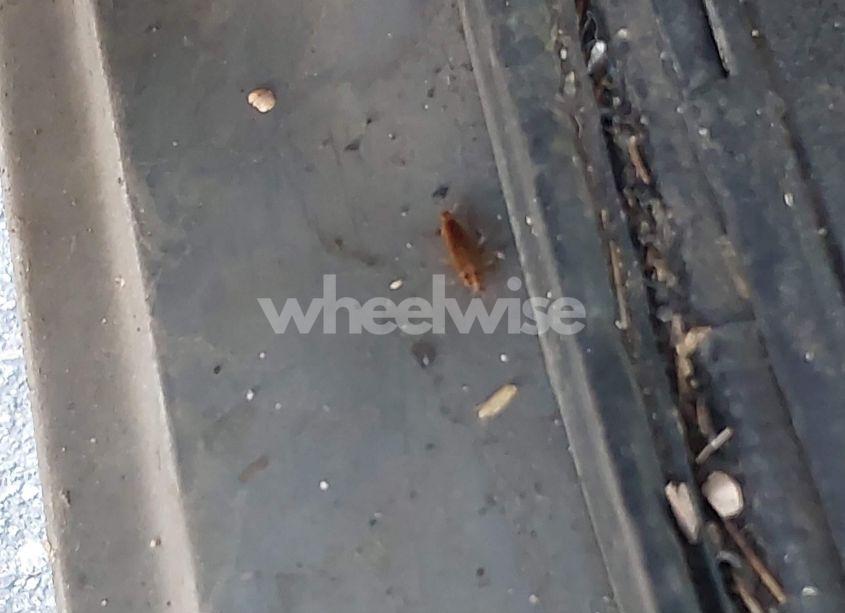 Photo 12 of 1988 Chevrolet S TRUCK S10 (VIN 1GCCS19Z7J8242754)