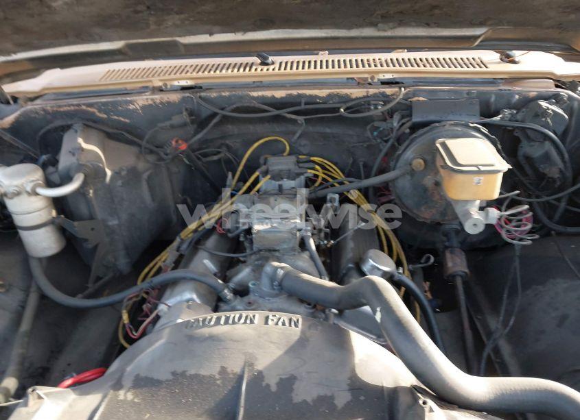 Photo 10 of 1986 Chevrolet C10 (VIN 1GCDC14H2GF376267)