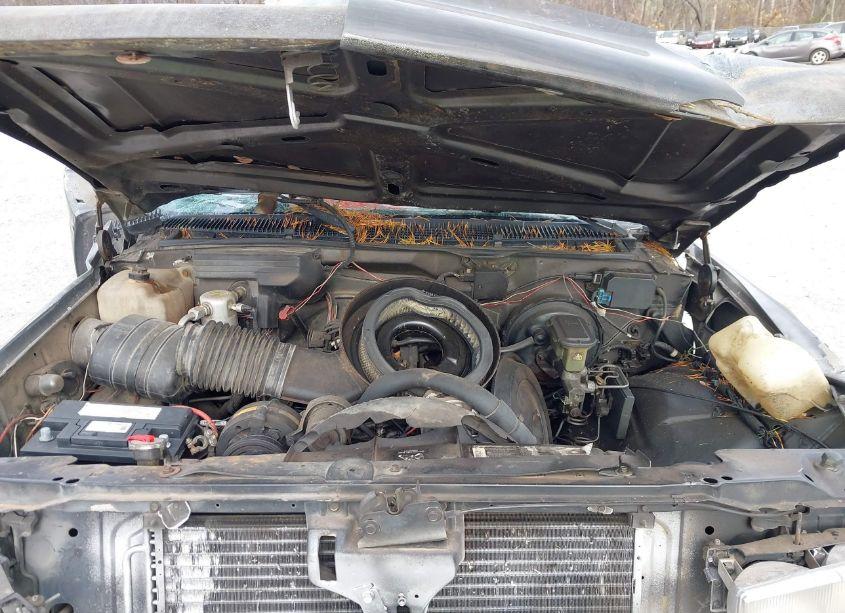 Photo 10 of 1991 Chevrolet Gmt-400 C1500 (VIN 1GCDC14K7ME172481)