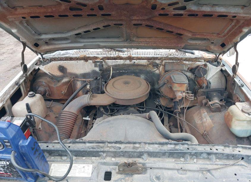 Photo 10 of 1987 Chevrolet R10 (VIN 1GCDR14H5HJ172270)