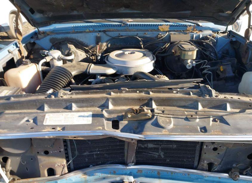 Photo 10 of 1987 Chevrolet R10 (VIN 1GCDR14H6HF346558)