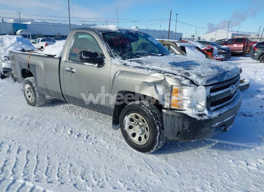 2007 Chevrolet Silverado 1500 WORK TRUCK (VIN 1GCEC14C07E530201) main photo