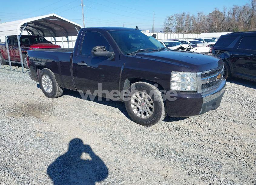 2008 Chevrolet Silverado 1500 WORK TRUCK (VIN 1GCEC14C28Z204068) main photo