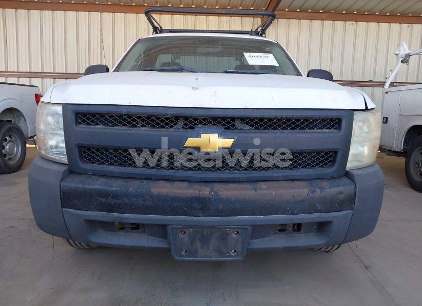Photo 16 of 2008 Chevrolet Silverado 1500 WORK TRUCK (VIN 1GCEC14C28Z256087)
