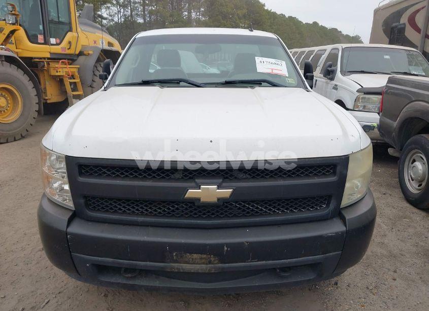 Photo 12 of 2008 Chevrolet Silverado 1500 WORK TRUCK (VIN 1GCEC14C38Z300730)
