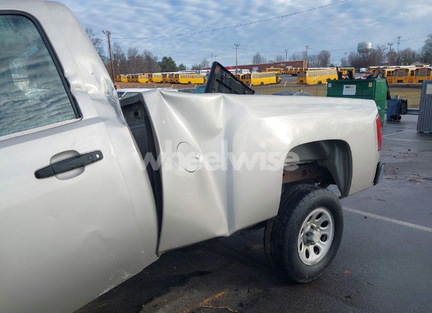 Photo 13 of 2008 Chevrolet Silverado 1500 WORK TRUCK (VIN 1GCEC14C48Z252073)