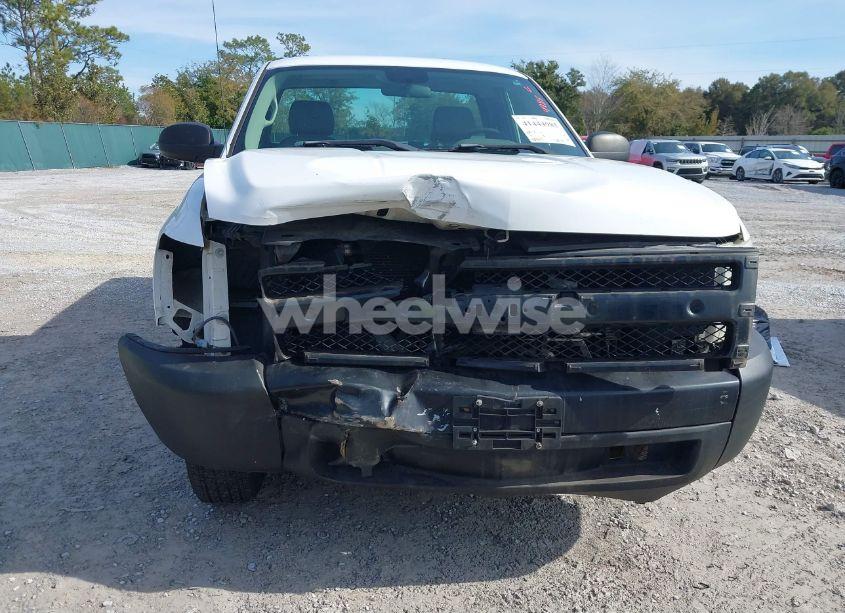 Photo 6 of 2008 Chevrolet Silverado 1500 WORK TRUCK (VIN 1GCEC14C58Z288645)