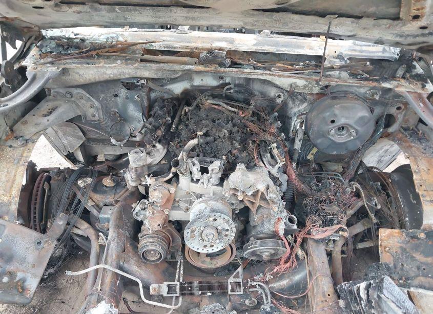 Photo 10 of 1999 Chevrolet Silverado 1500 LS (VIN 1GCEC14T2XE191151)