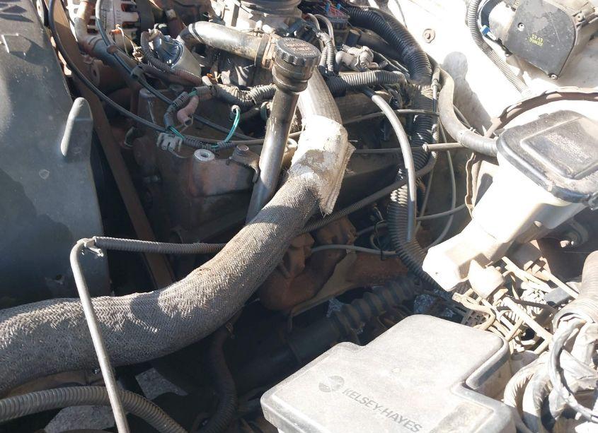 Photo 6 of 1996 Chevrolet Gmt-400 C1500 (VIN 1GCEC14W3TZ208164)