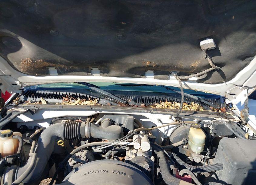 Photo 10 of 2001 Chevrolet Silverado 1500 (VIN 1GCEC14W61Z143226)