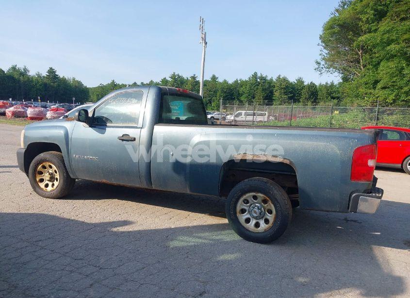 Photo 12 of 2009 Chevrolet Silverado 1500 WORK TRUCK (VIN 1GCEC14X19Z219021)