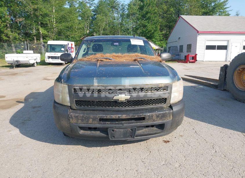 Photo 13 of 2009 Chevrolet Silverado 1500 WORK TRUCK (VIN 1GCEC14X19Z219021)