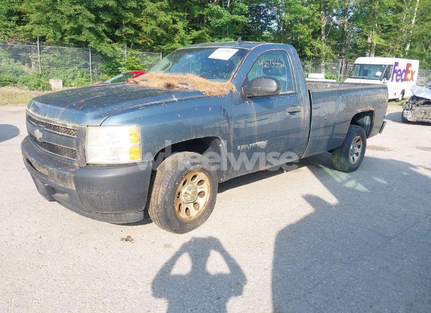 Photo 2 of 2009 Chevrolet Silverado 1500 WORK TRUCK (VIN 1GCEC14X19Z219021)