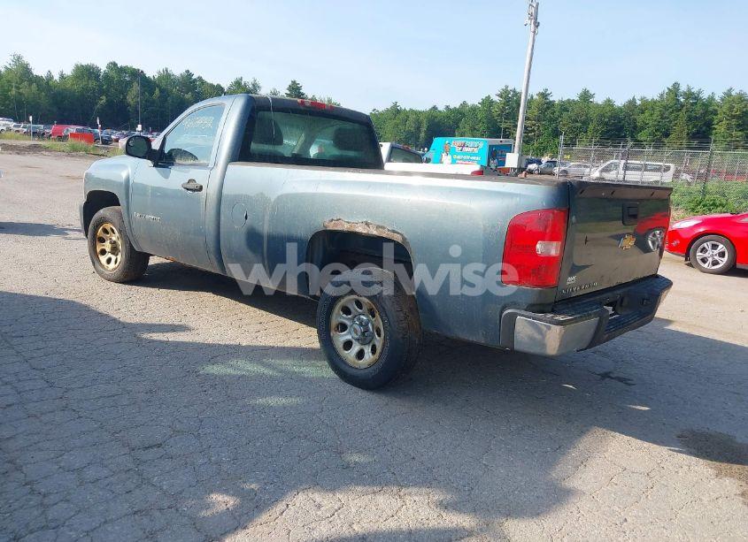 Photo 3 of 2009 Chevrolet Silverado 1500 WORK TRUCK (VIN 1GCEC14X19Z219021)