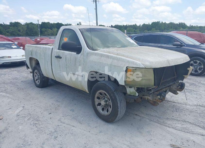 2009 Chevrolet Silverado 1500 WORK TRUCK (VIN 1GCEC14X29Z130073) main photo