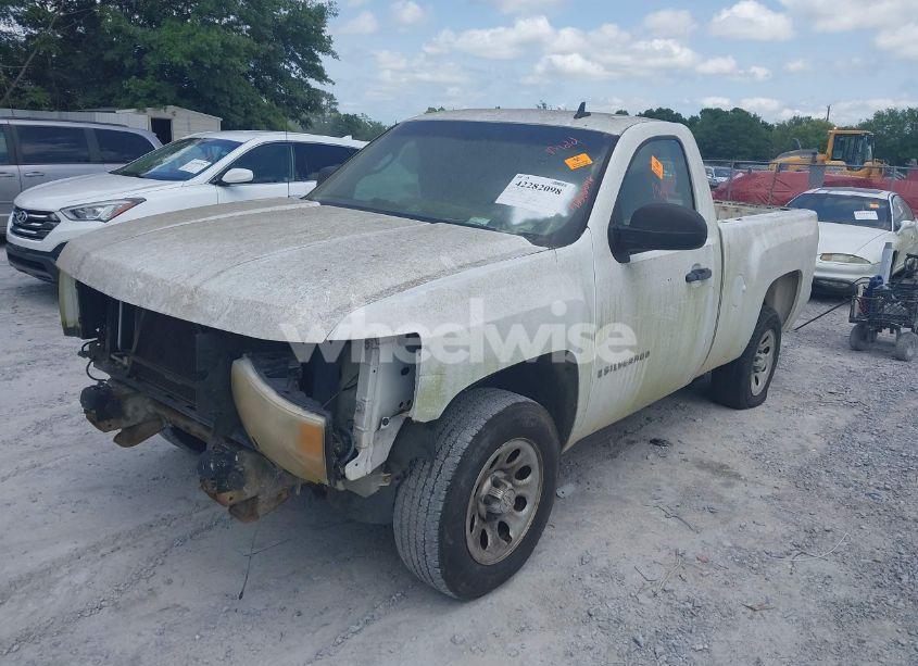 Photo 2 of 2009 Chevrolet Silverado 1500 WORK TRUCK (VIN 1GCEC14X29Z130073)