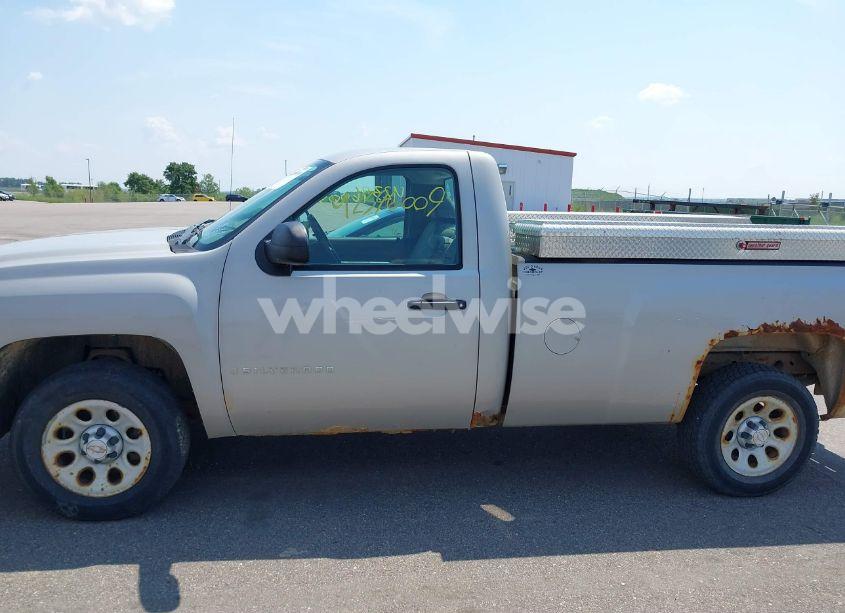 Photo 14 of 2009 Chevrolet Silverado 1500 WORK TRUCK (VIN 1GCEC14X29Z152932)