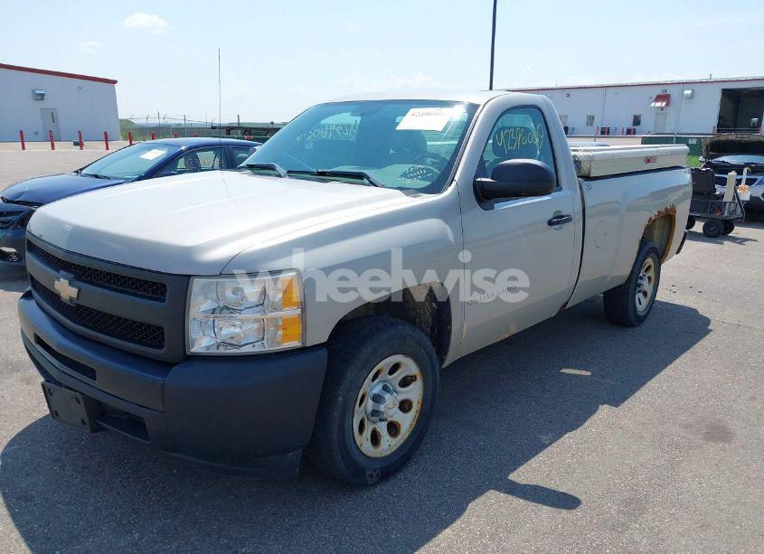 Photo 2 of 2009 Chevrolet Silverado 1500 WORK TRUCK (VIN 1GCEC14X29Z152932)