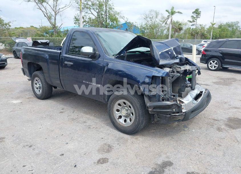 2009 Chevrolet Silverado 1500 WORK TRUCK (VIN 1GCEC14X29Z275064) main photo