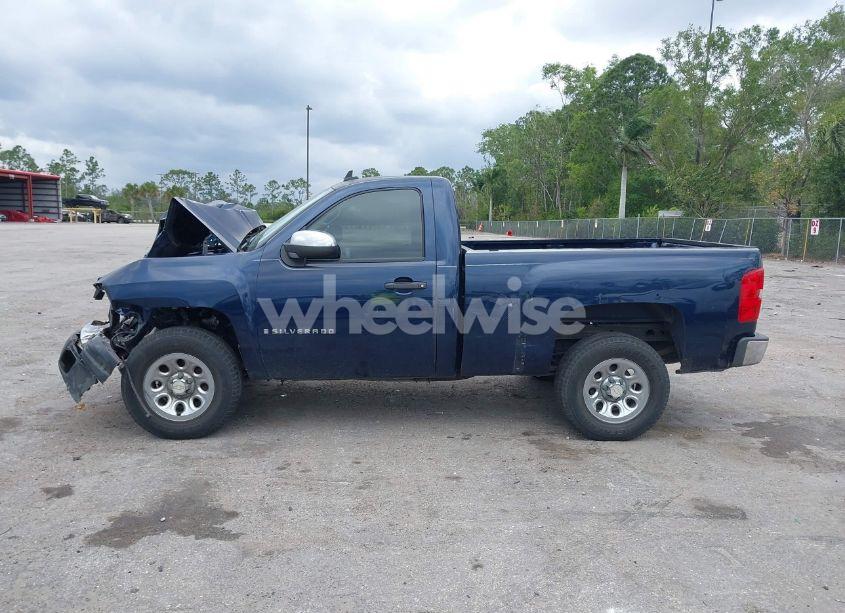 Photo 14 of 2009 Chevrolet Silverado 1500 WORK TRUCK (VIN 1GCEC14X29Z275064)