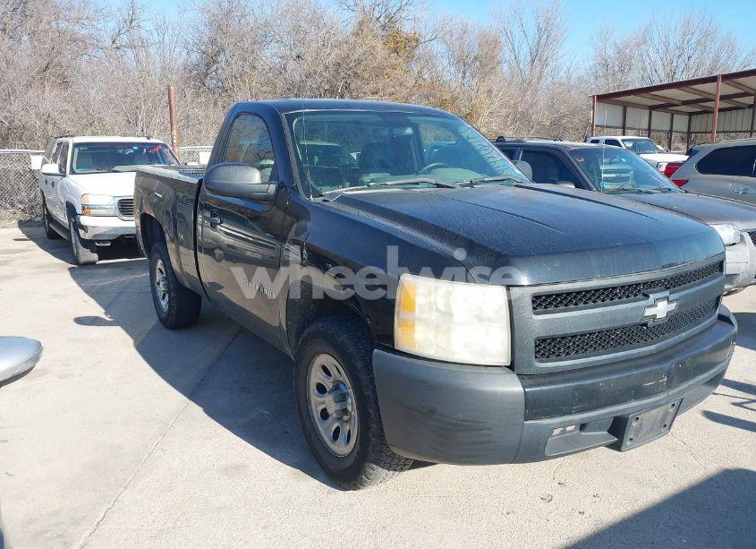 2008 Chevrolet Silverado 1500 WORK TRUCK (VIN 1GCEC14X38Z246820) main photo
