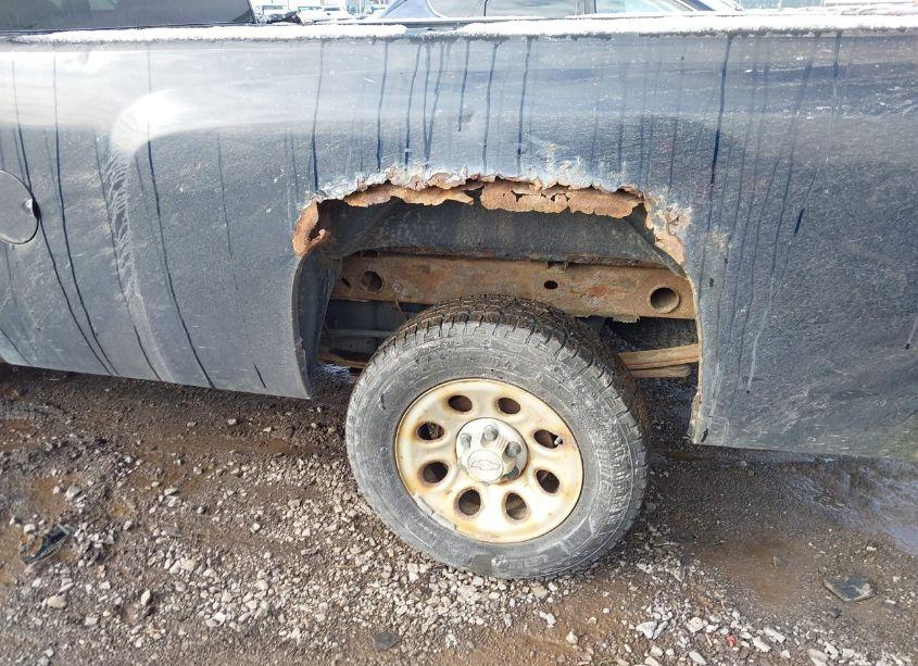 Photo 15 of 2008 Chevrolet Silverado 1500 WORK TRUCK (VIN 1GCEC14X38Z308362)