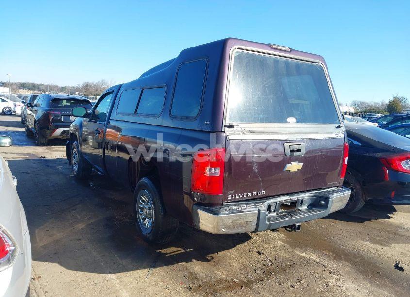 Photo 3 of 2008 Chevrolet Silverado 1500 WORK TRUCK (VIN 1GCEC14X58Z101486)