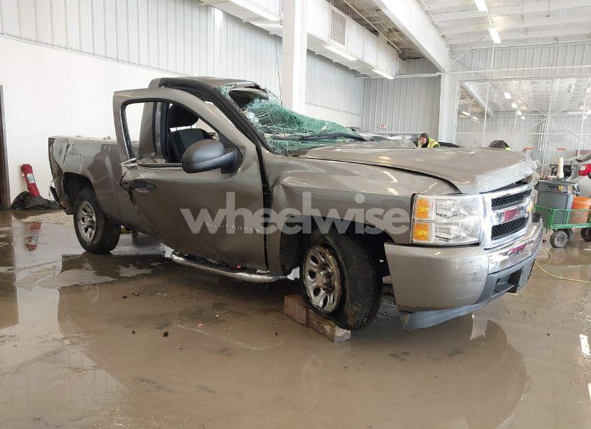 2008 Chevrolet Silverado 1500 WORK TRUCK (VIN 1GCEC14X58Z124282) main photo