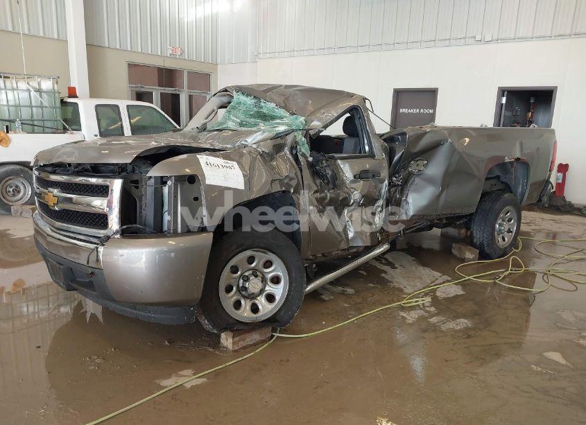 Photo 2 of 2008 Chevrolet Silverado 1500 WORK TRUCK (VIN 1GCEC14X58Z124282)