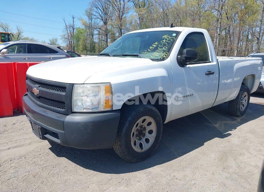 Photo 2 of 2008 Chevrolet Silverado 1500 WORK TRUCK (VIN 1GCEC14X58Z191111)