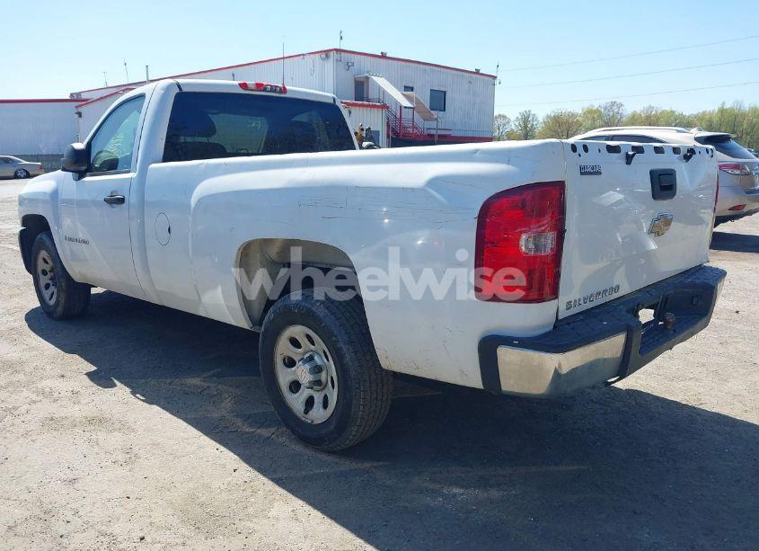 Photo 3 of 2008 Chevrolet Silverado 1500 WORK TRUCK (VIN 1GCEC14X58Z191111)