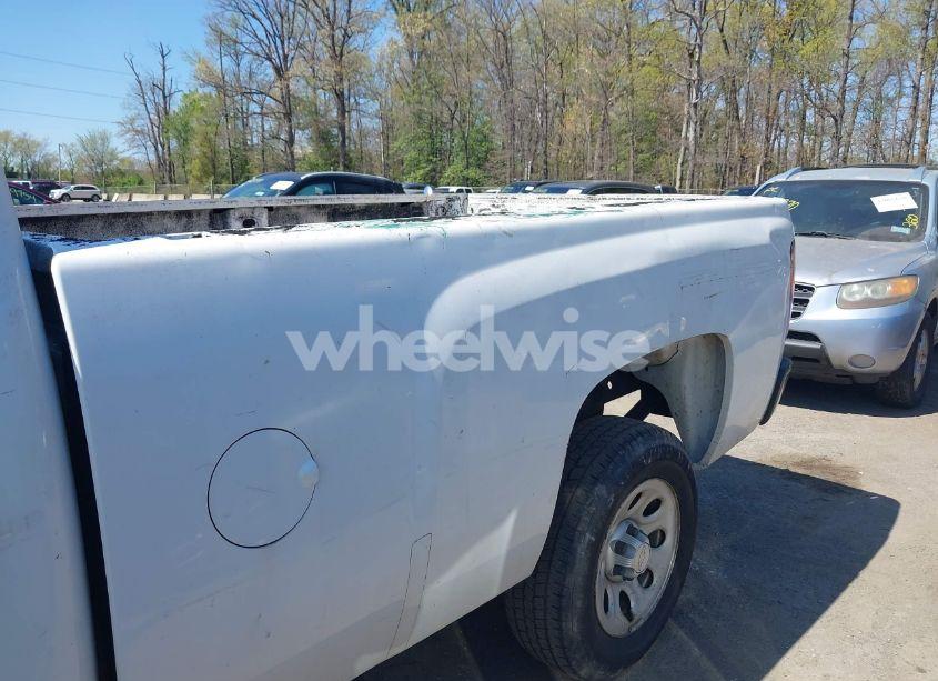 Photo 6 of 2008 Chevrolet Silverado 1500 WORK TRUCK (VIN 1GCEC14X58Z191111)