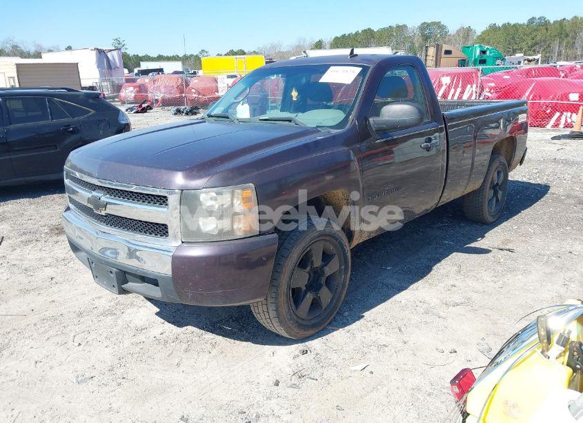 Photo 2 of 2008 Chevrolet Silverado 1500 WORK TRUCK (VIN 1GCEC14X68Z187276)