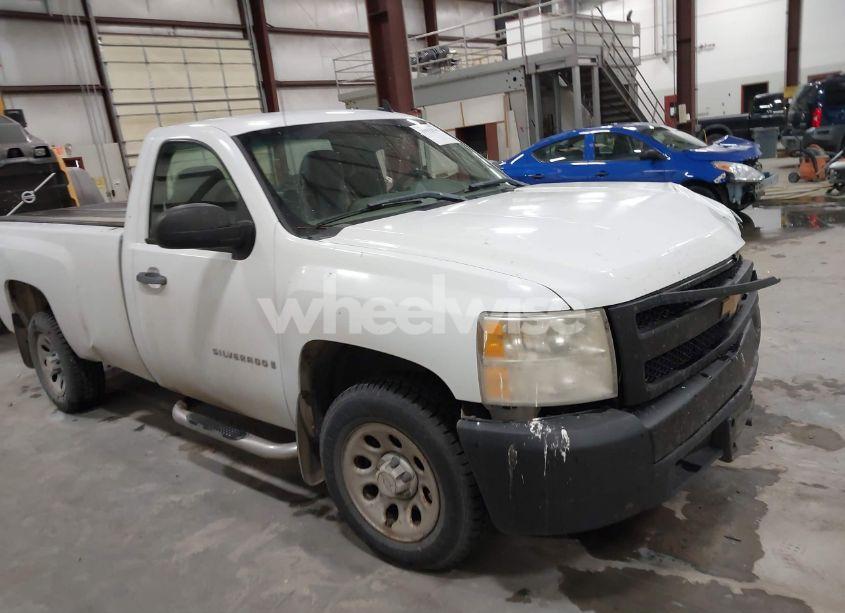 2007 Chevrolet Silverado 1500 WORK TRUCK (VIN 1GCEC14X77Z648242) main photo