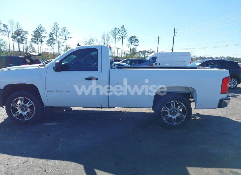 Photo 14 of 2008 Chevrolet Silverado 1500 WORK TRUCK (VIN 1GCEC14X78Z172155)
