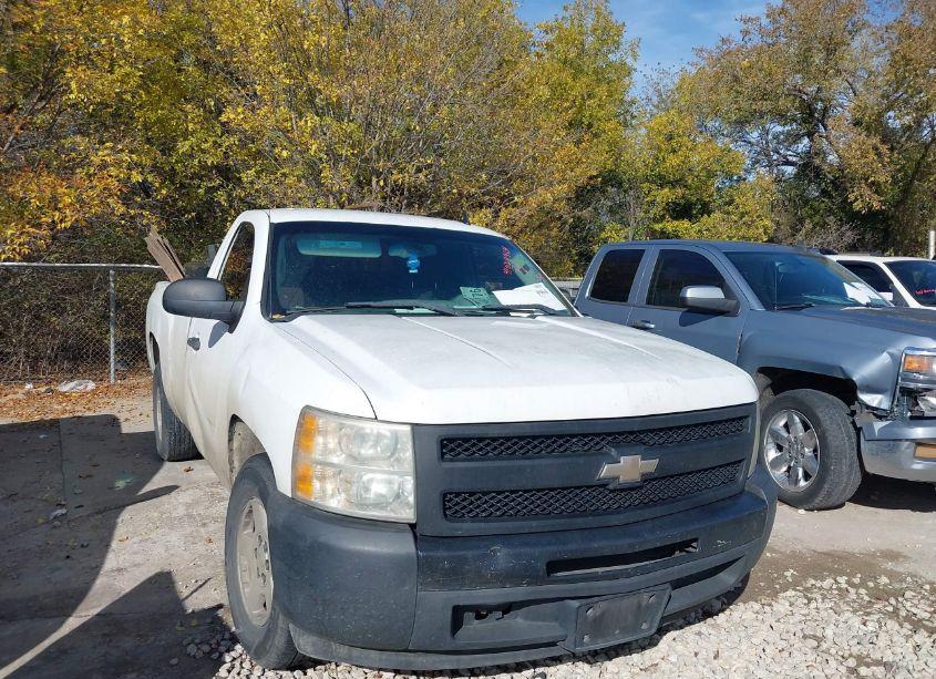 2009 Chevrolet Silverado 1500 WORK TRUCK (VIN 1GCEC14X89Z219100) main photo